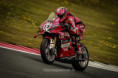 /album/assen-sbk-2026/246a5413-jpg/