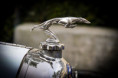 /album/angloumene-2026/246a3320-jpg/