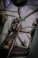 /album/angloumene-2026/246a3382-jpg/