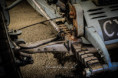 /album/angloumene-2026/246a3383-jpg/